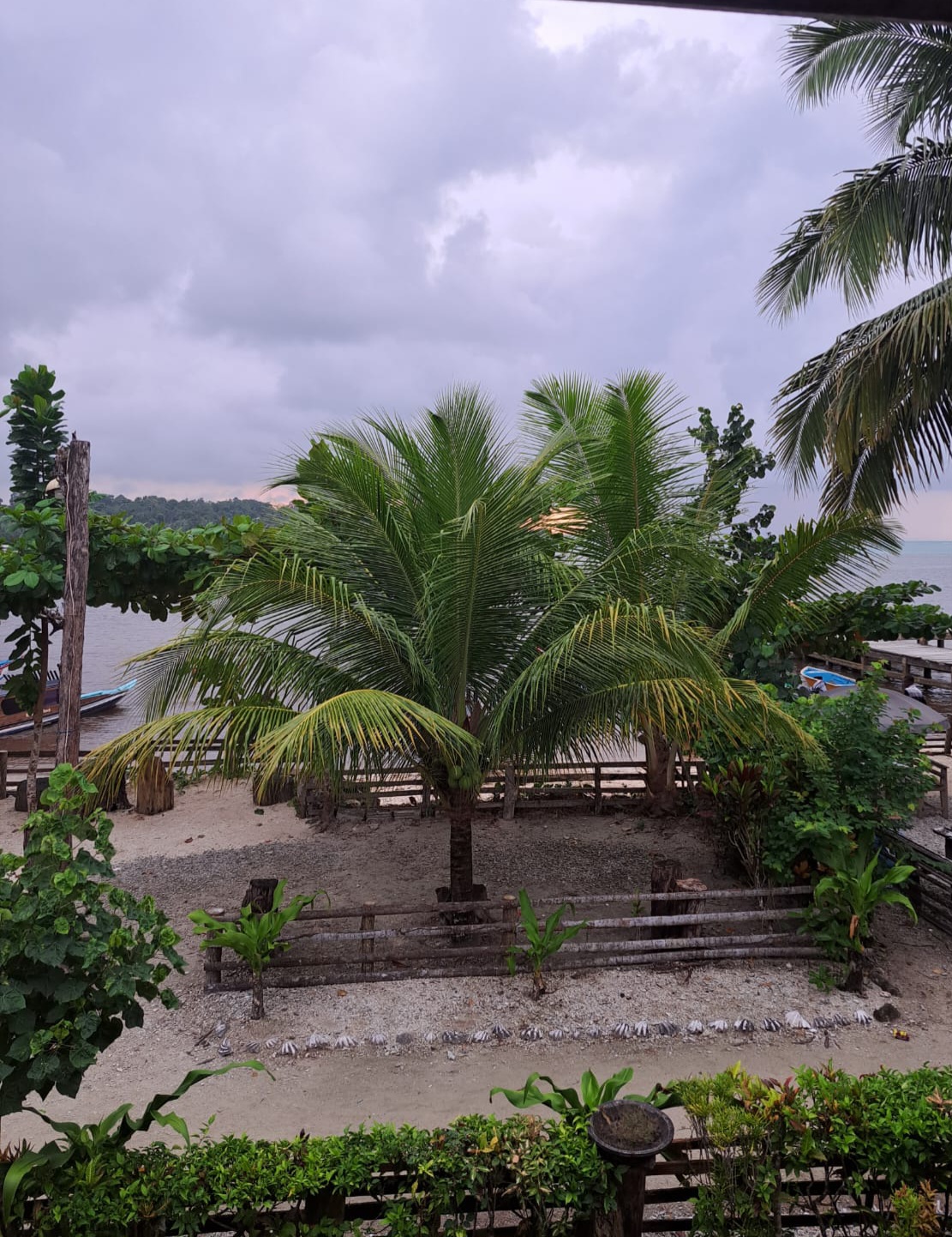 Mencari Teman Lewat Wajah