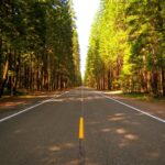 pexels-harrison-faux-45775