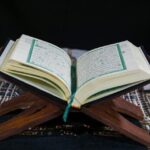 pexels-gr-stocks-8522578