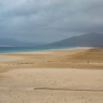 pexels-david-vives-17589488