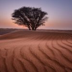 pexels-walid-ahmad-909656