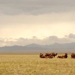 mongolia-695267_1280