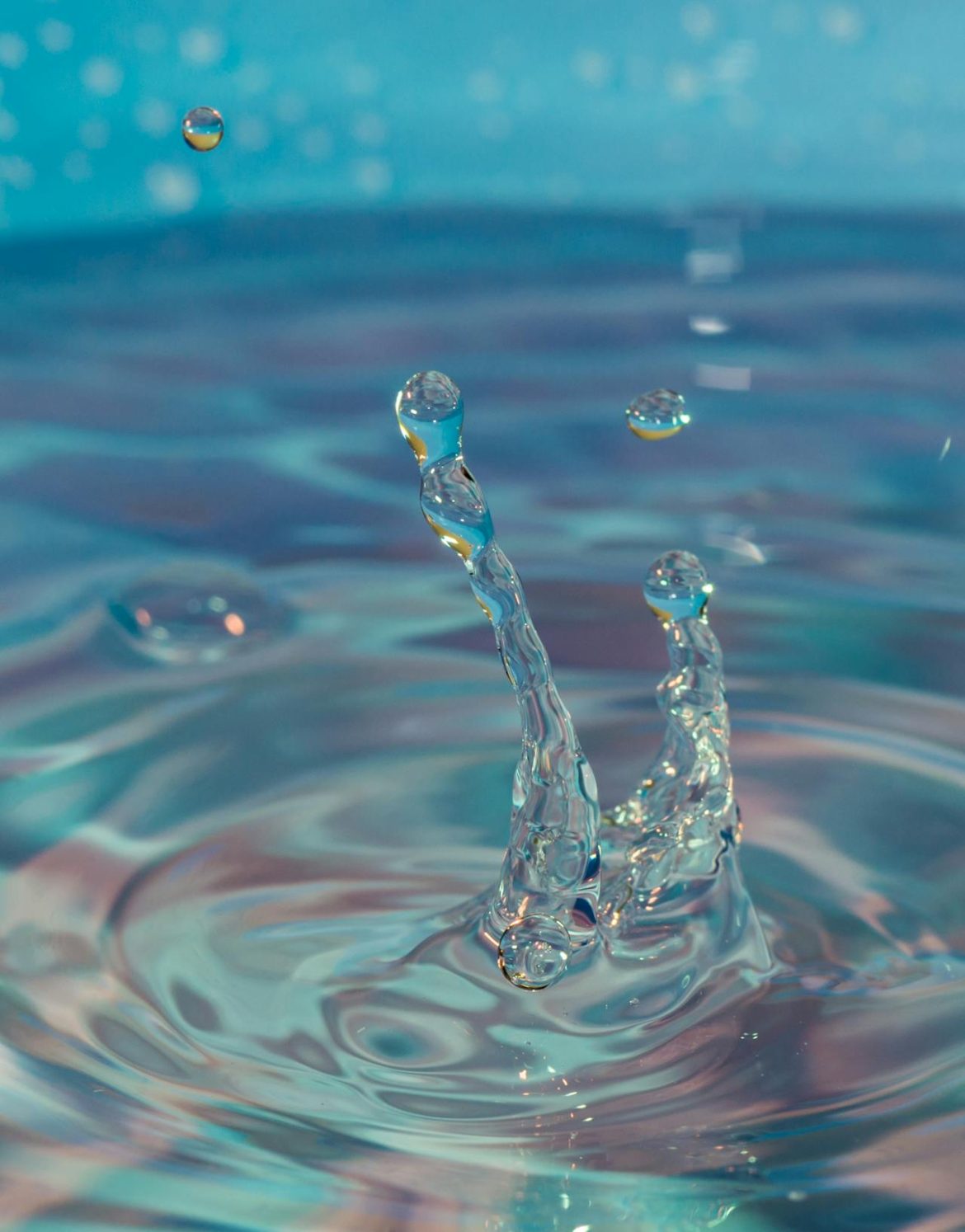 Surat Al-Baqarah Ayat 28