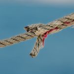 pexels-mammiya-14045562